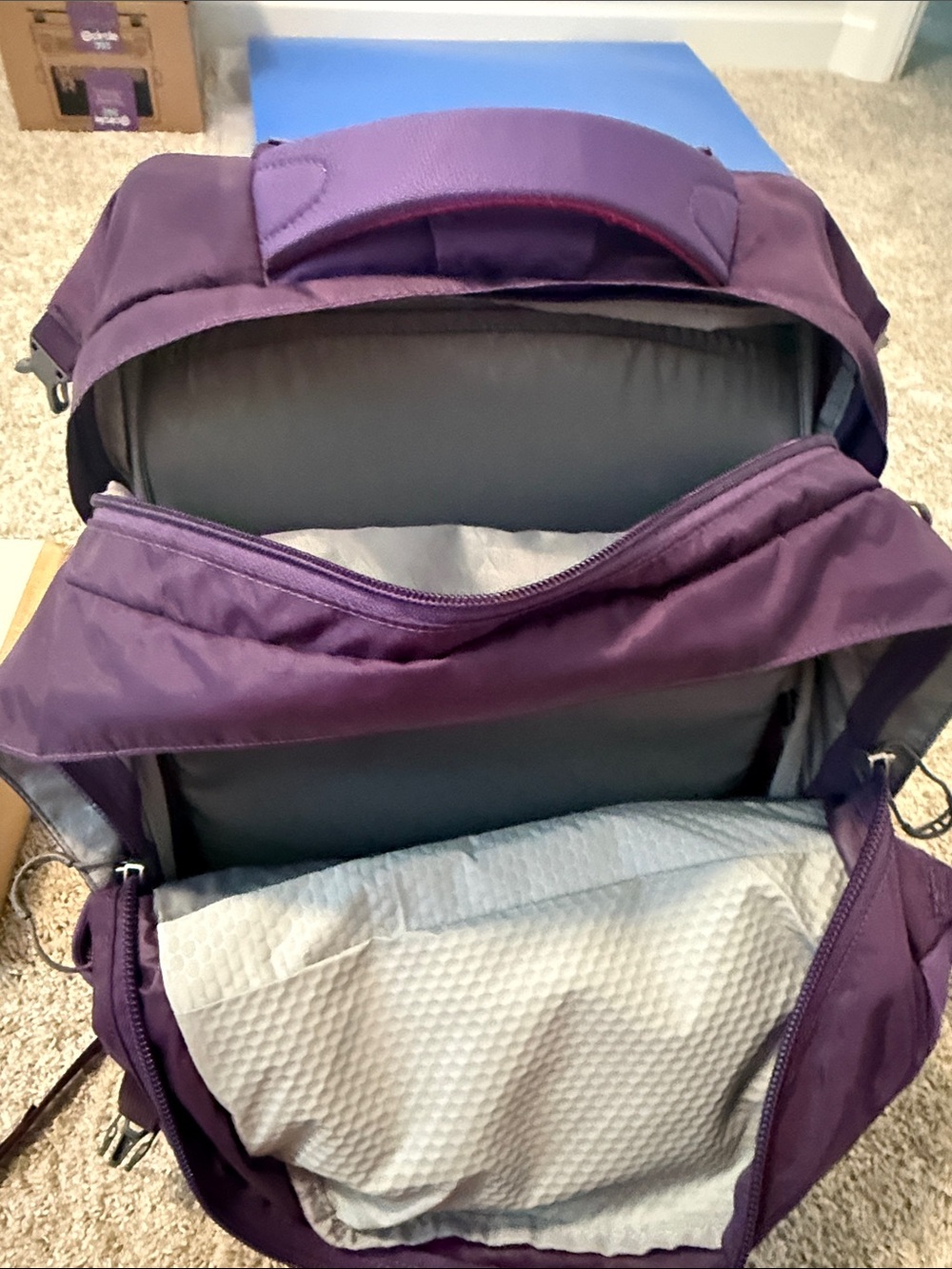 OSPREY Purple and Pink Women's Backpack - Picture 5 of 6